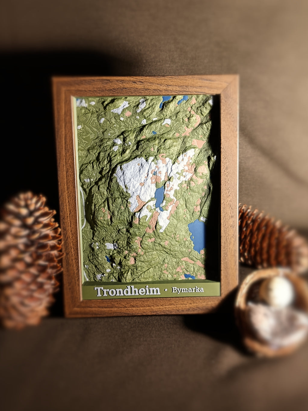 Bymarka i Trondheim