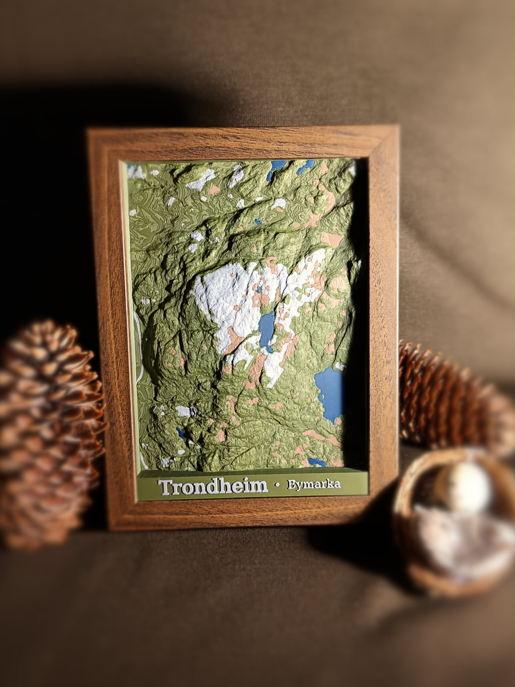 Bymarka i Trondheim
